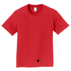 Champions Izak Gamer Boy's 100% Cotton T-Shirts Port And Company PC450Y