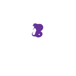 Create DISCONTINUED Women's 100% Polyester T-Shirts Alternative LST370