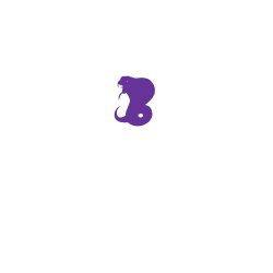 Create Create Women's 100% Cotton T-Shirts District Threads DM401