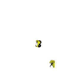 PLAYER-00 Rmd Women's 100% Cotton Tank Tops Port And Company LPC54TT