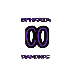 00--EPHRATA-DIAMONDS FBLA ROCKS Boy's 100% Polyester Long Sleeves Gildan 42400B