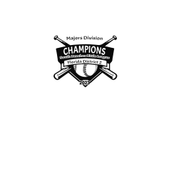 no-Name Boy's 100% Polyester T-Shirts Alternative YST350