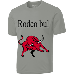 Rodeo bull