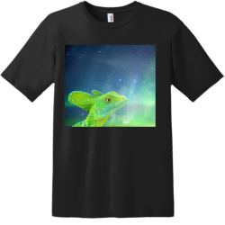 Create Men's 100% Cotton T-Shirts Gildan 980