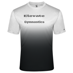 Elevate-Gymnastics Adult 100% Polyester OMBRE T-shirts