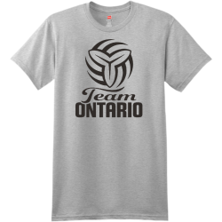Create Men's 100% Cotton T-Shirts Hanes 4980
